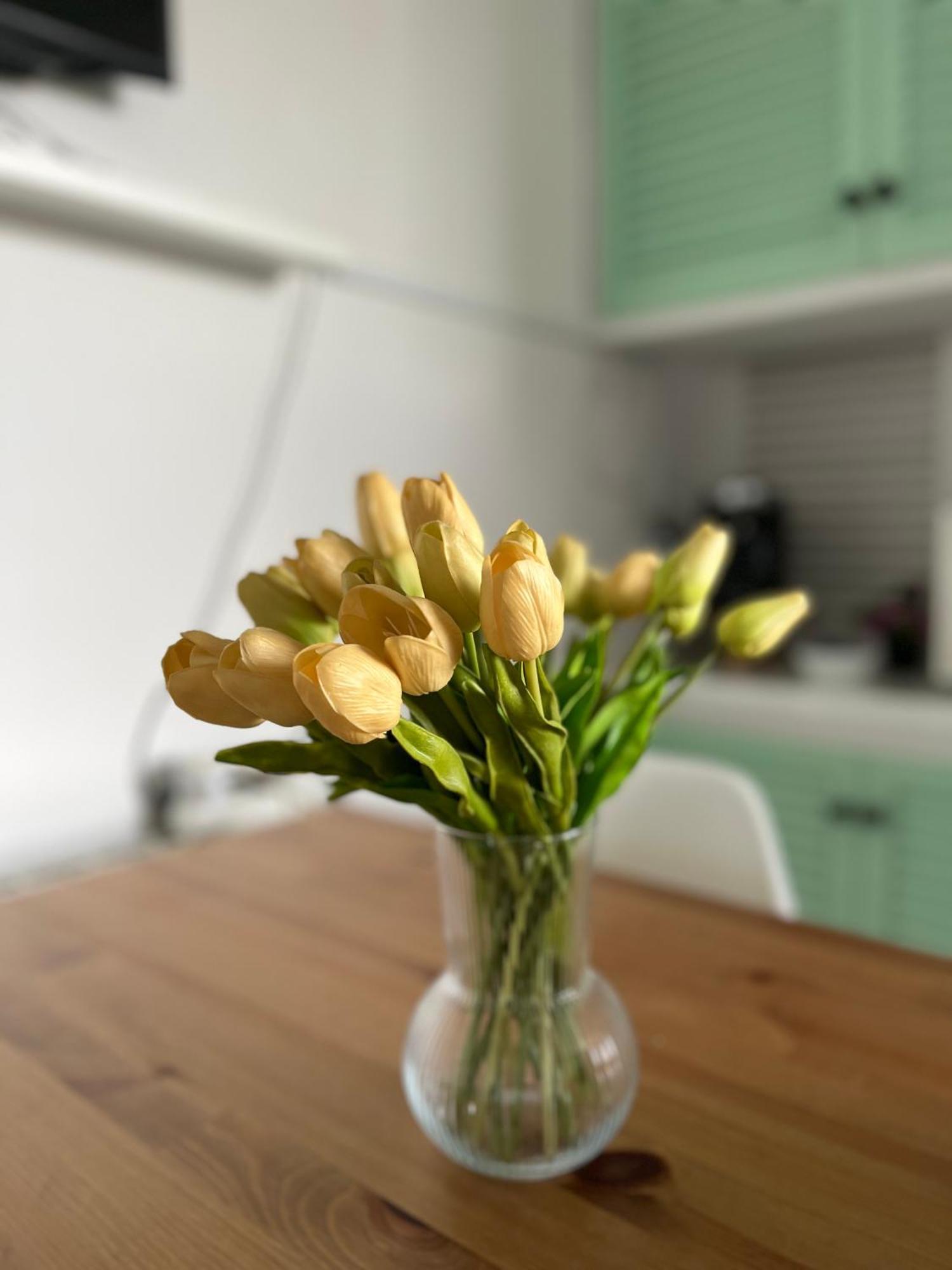 Your Holidays Apartment Платжа-д'Ару Екстер'єр фото